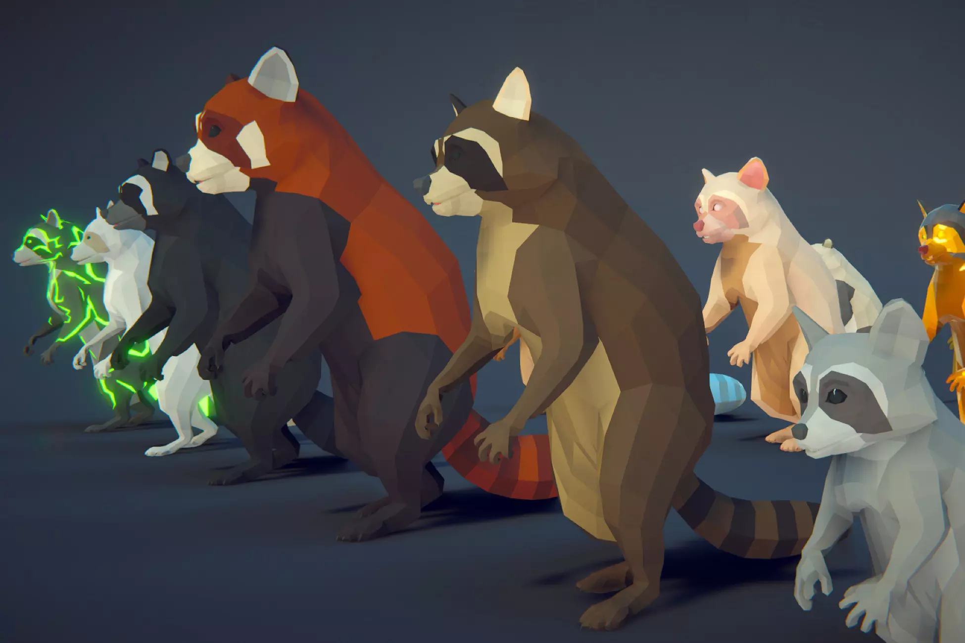 Poly Art - Raccoon